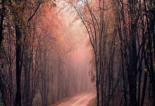 里尔客场遭遇惨败，战绩继续下滑