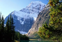 南部之芝突厥，尼库包杜踏平