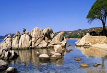 里尔客场遭遇惨败，战绩继续下滑