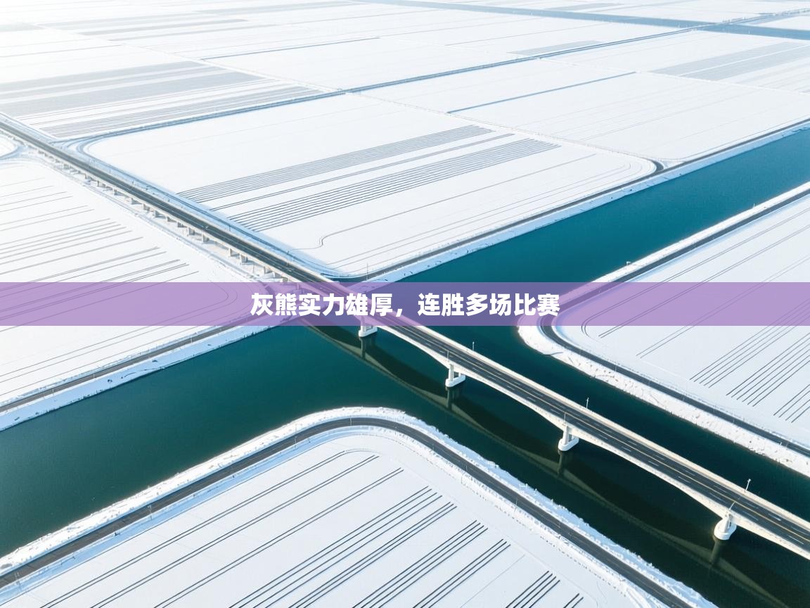 灰熊实力雄厚，连胜多场比赛  第1张