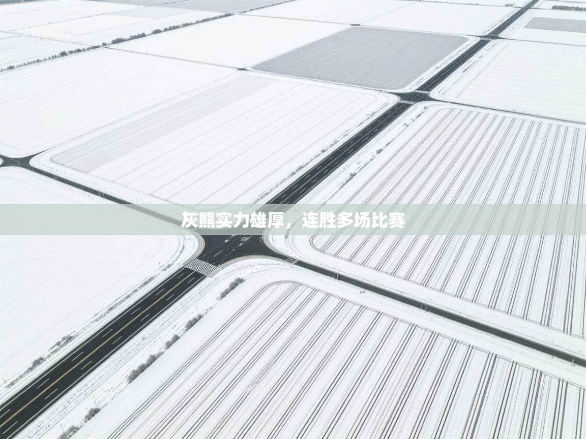 灰熊实力雄厚，连胜多场比赛  第2张