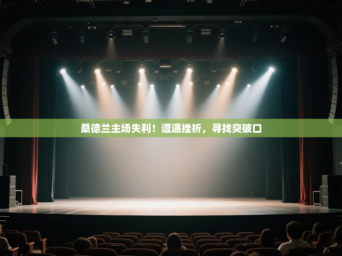 桑德兰主场失利！遭遇挫折，寻找突破口  第2张