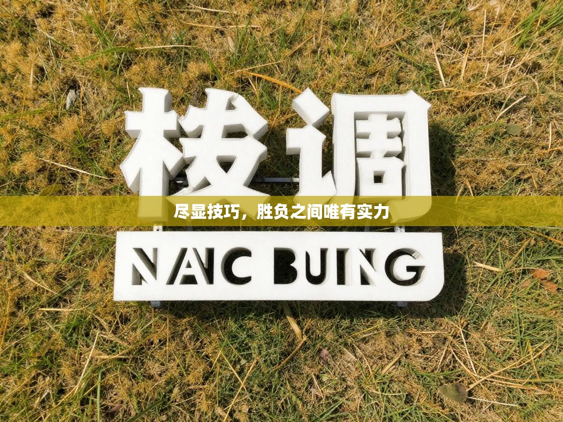 尽显技巧，胜负之间唯有实力