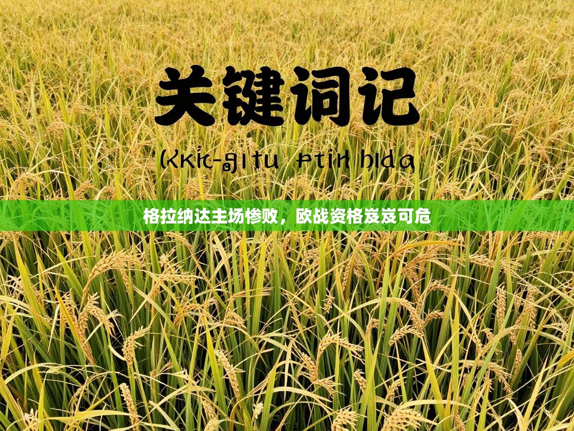 格拉纳达主场惨败，欧战资格岌岌可危  第2张